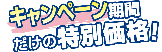 特別商品タイトル
