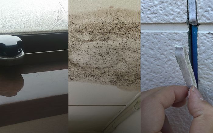 3つ目の基準は「白岡市で気にしたい部位まで見ているか」